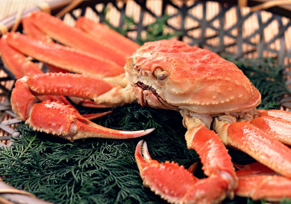 螃蟹虽然鲜美但是大家在吃的时候需要注意